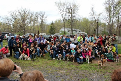 Rocky Top Beagle meet 5/3/14